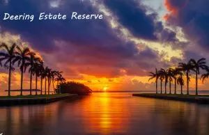 Deering Estate, Palmetto Bay, Florida