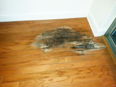 Wood Floor Water Damage - Home Buyer Dealbreakers