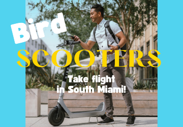 Bird Electric Scooters in South Miami