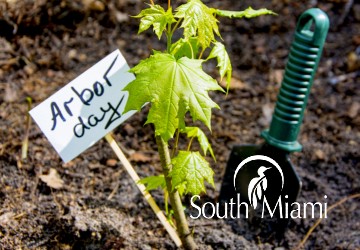 Arbor Day 2024 South Miami